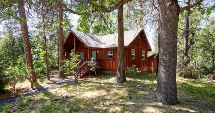 Evergreen Lodge Cabin in the Woods (Kim Carroll)
