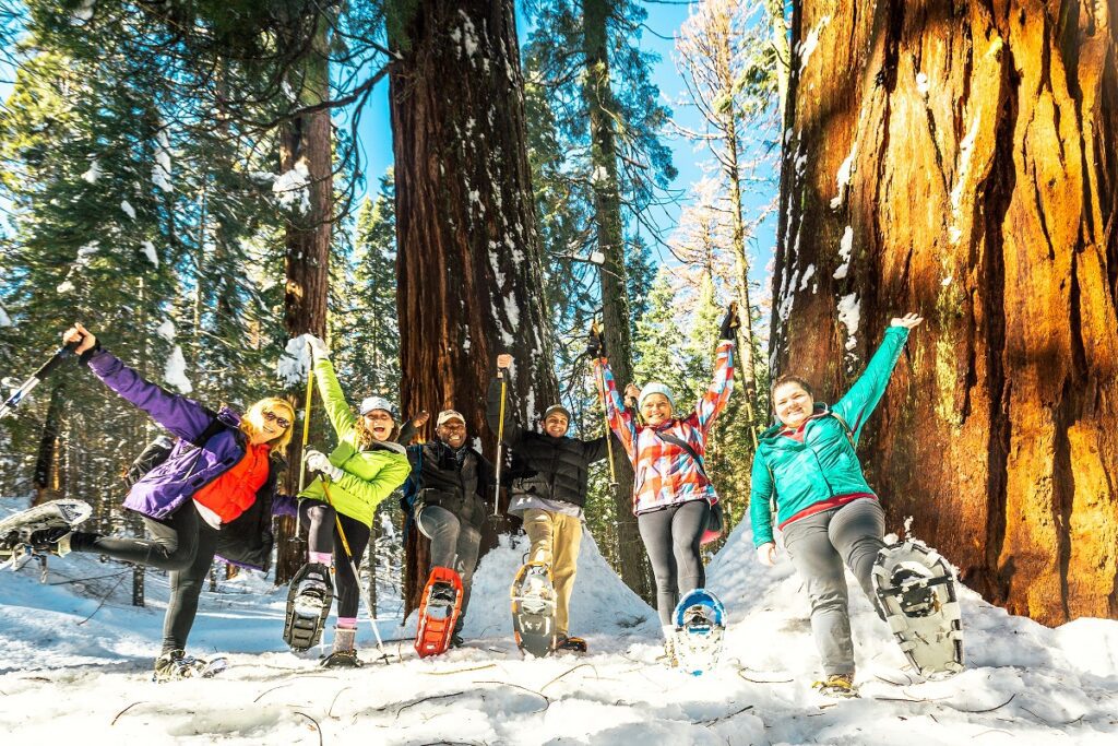 Happy snowshoers in the Merced Grove of Giant Sequoias.